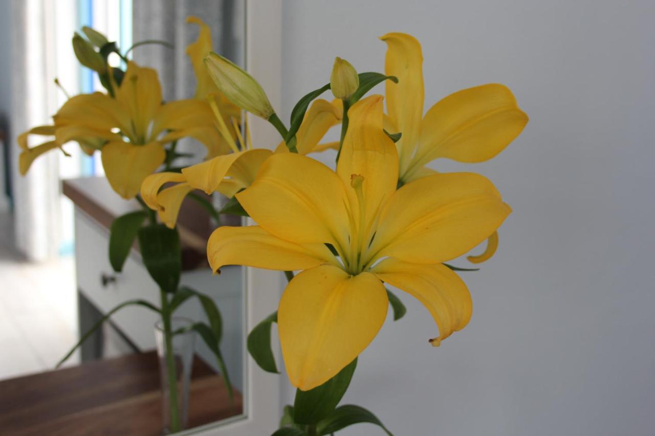 Bluesky Arniston Guest House Экстерьер фото